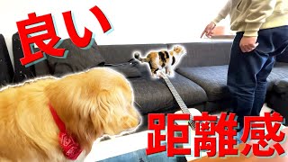 まりもとまるは良い距離感？