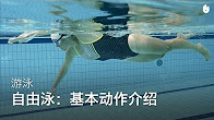 sikana视频:学习自由泳 thumbnail