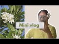 A day in my life🌸  |Hostel Diaries✨  |Akku Nisso 🌷