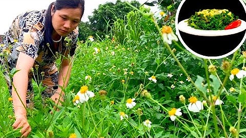 Rau Xuyến Chi Xào Tỏi – Thảo Dược Mọc Hoang Tốt Cho Sức Khỏe Ít Người Biết