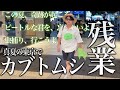 【神回】退勤後にカブトムシ捕まえるまで帰宅禁止