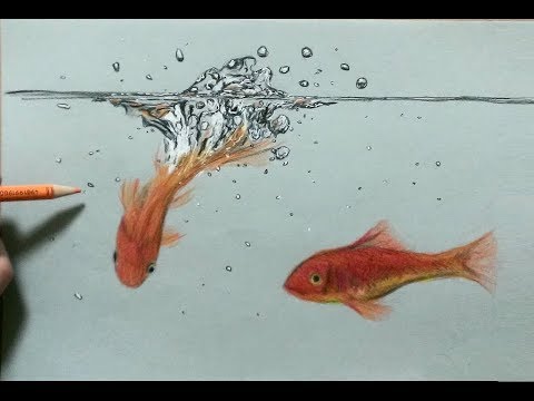 色鉛筆で金魚と水しぶきを描いてみた 水の描き方 Youtube