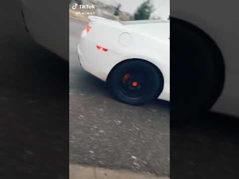 هلا علم الامريكي