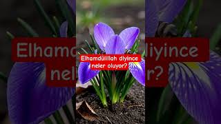 Elhamdülillah diyince neler oluyor