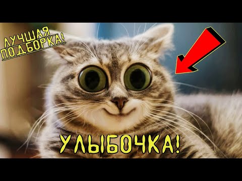 😂 Лучшие ПРИКОЛЫ 🔥 EPIC FAILS #2