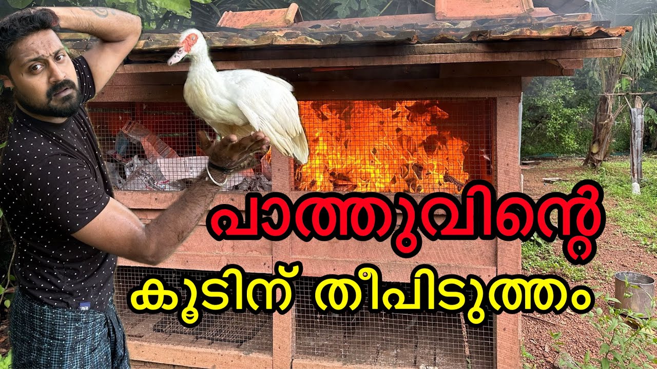 രണ്ട് കണ്ണിനും കാഴ്ച നഷ്ടപെട്ട ഇവൾ മൂന്നരകൊല്ലമായി ജീവിക്കുന്നു. Ente pathu ❤️😘