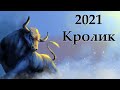 Китайский гороскоп на 2021 год : Кролик (Кот)