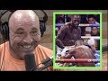 Joe Rogan on Deontay Wilder's Crazy KO of Ortiz