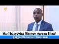 Marii Hayyootaa Filannoo Marsaa 6ffaaf Gaggeeffamurratti Taasisaan Marii Hayyootaa Filannoo Marsaa 6ffaaf Gaggeeffamurratti Taasisaan