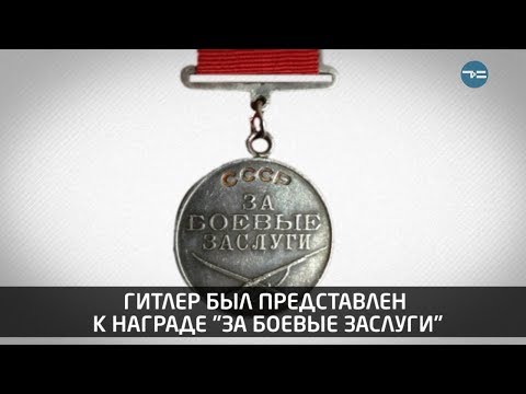 Военные истории. Гитлер