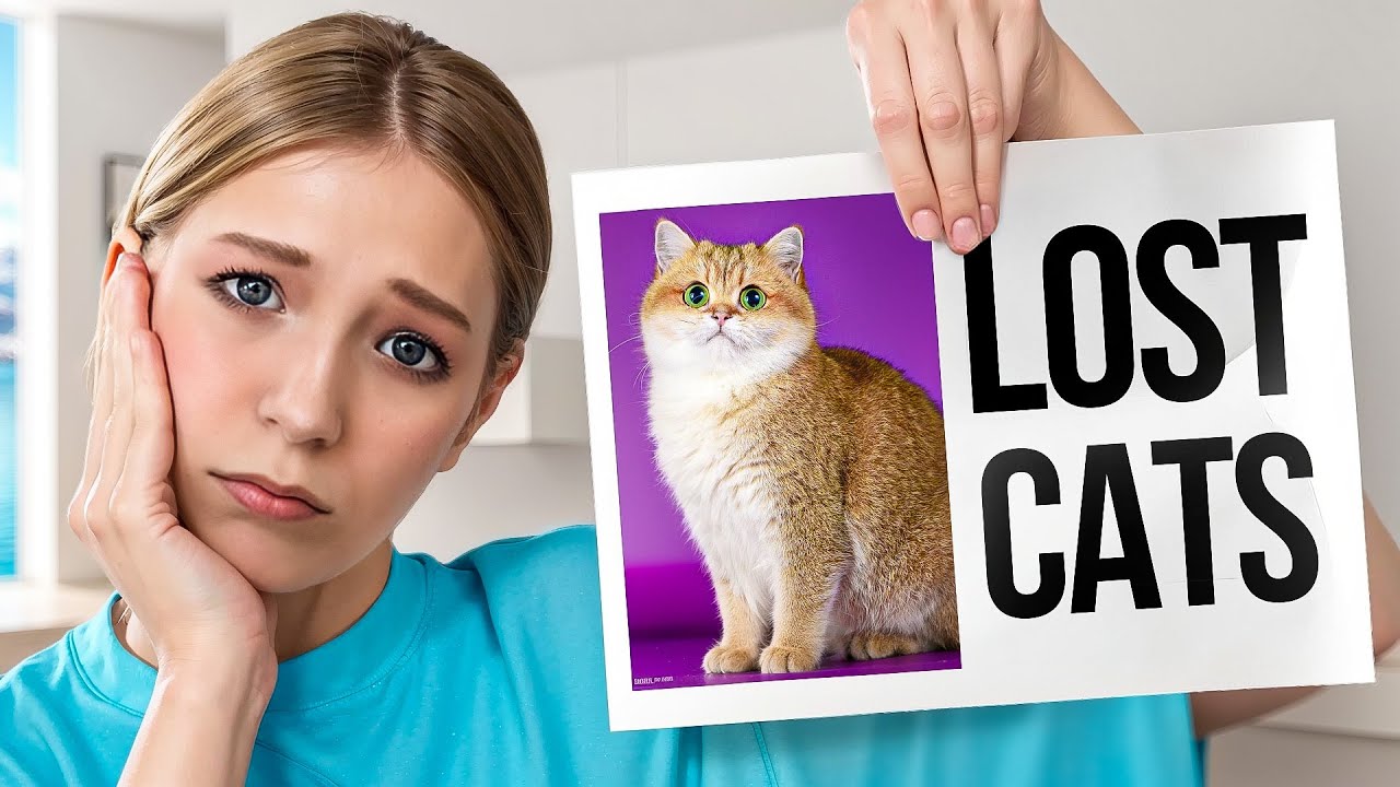 ИЩЕМ КОШКУ для ДОЧЕРИ! Сколько КОТИКОВ МЫ НАЙДЁМ?