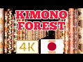 Kimono Forest Arashiyama kyoto japan walking tour 4k videos