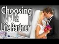 choosing a life partner - 5 tips to Pick the Right one  | animated