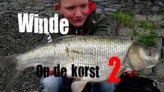 Hlpredatorteam - Winde Vissen Met De Korst Ii