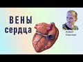 Вены сердца. Венечный синус