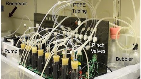 Tutorial: Towards Quantitative Microbial Biology by Wenying Shou