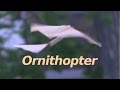 Ornithopter - Rubber Band Wing Flapping Flying Machine