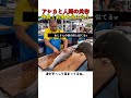 アシカと人間の共存、仲良くお魚を分け合う #アシカ #動物 #共存 #癒し #可愛い #動物農場 #shorts #アシカのいる風景