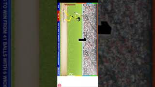 Slog Cricket Championship test Match screenshot 5