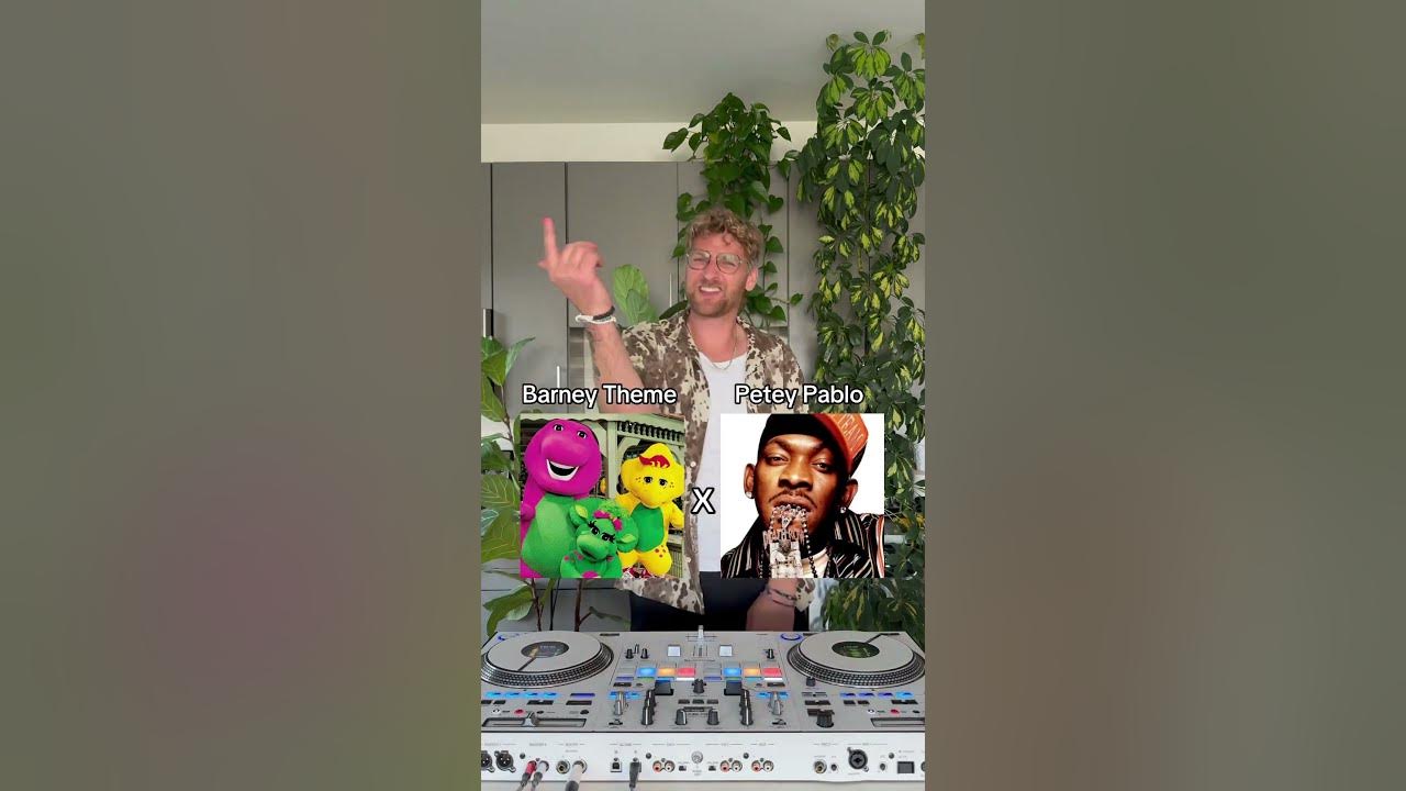 Barney’s Theme Song x Freek-A-Leek #mashup #peteypablo #barney