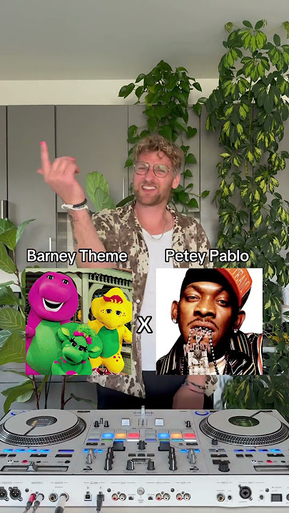 Barney’s Theme Song x Freek-A-Leek #mashup #peteypablo #barney
