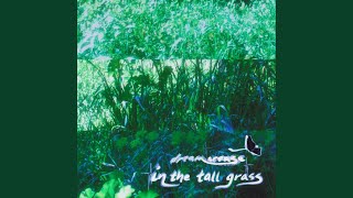 Download Lagu Di Padang Rumput Tinggi MP3