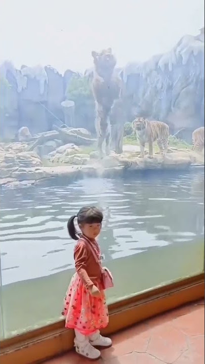 Singa Mengaum