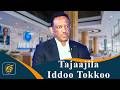 Babal’ina Tajaajila Iddoo Tokkoo Masoob Shaggaritti | Qophii Addaa