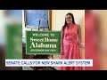 Senate calls for new shark alert system