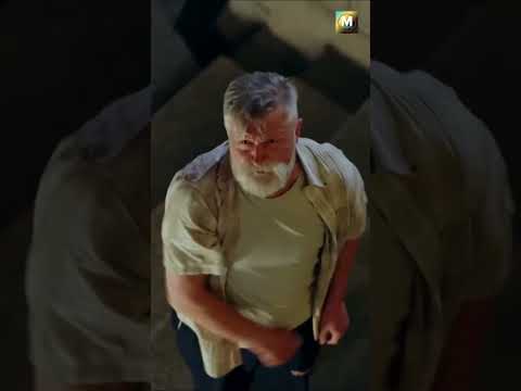 Из Дома На Улицу: Неожиданные Открытия!