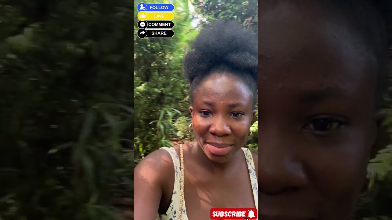 A day at the Dortmund Zoo