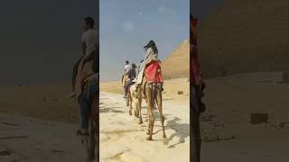 Cairo Egypt Travel Guide #travel #egypt #egyptian #egypte #egyptianfood #africa #travelguide