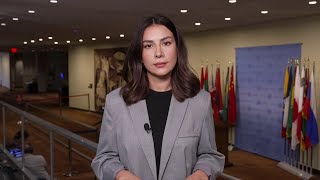پیش‌نامه قطع‌نامه جدید درباره جنگ حماس و اسرائیل در شورای امنیت سازمان ملل متحد