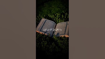 ربنا إنك تعلم ما تخفي وما تعلن #قران #قران_كريم #راحة_نفسية #فارس_عباد #سورة_إبراهيم #quran