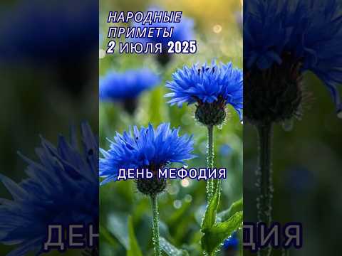 3 июля народные приметы. Приметы на каждый день. Именины 3 июля.
