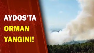 Aydosta Orman Yangını / A Haber A Haber Resimi