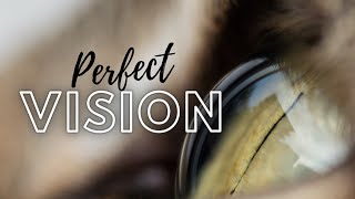 Perfect Vision - FoundryVTT - Darkvision updates