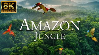 Amazon Jungle 8K ULTRA HD | Wildlife of Amazon Rainforest | Nature Amazon Animals