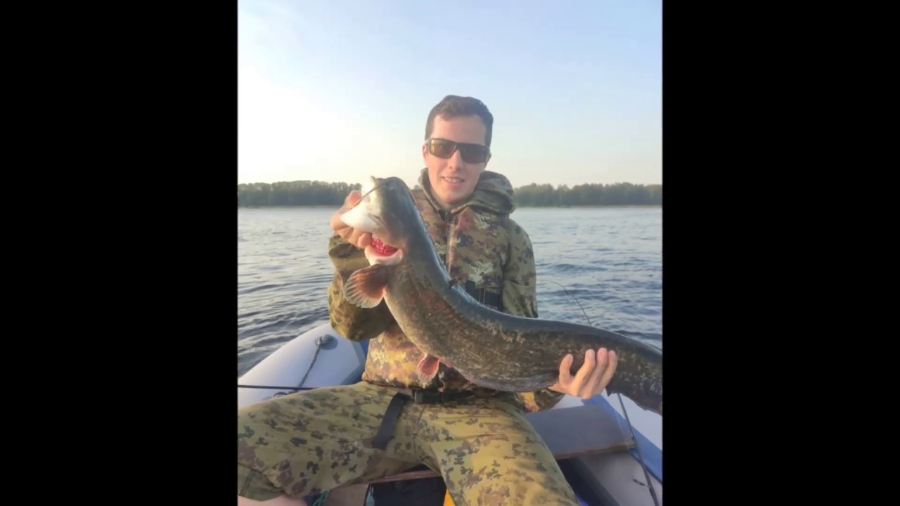 рыбалка рыбинские буды. зимняя рыбалка на рыбинском водохранилище селехово. рыбалка в рыбинске на волге летом. рыбинское водохранилище рыбалка. рыбалка рыбинские буды.