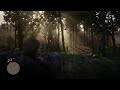 RDR stream 4