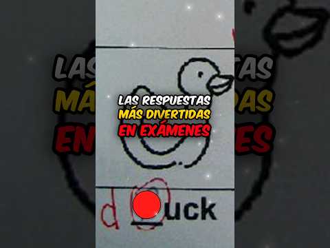 LAS 5 RESPUESTAS