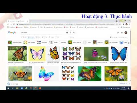 Tin học 4 - Tuần 12: Chèn hình ảnh và chữ nghệ thuật