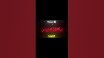 سورة المائدة|محمد اللحيدان