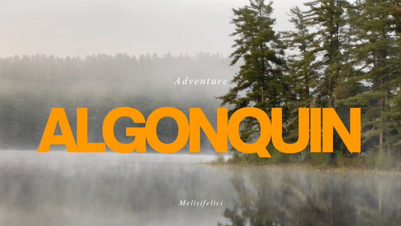 ASMR Camping Vlog | Algonquin Park Ontario, Canada with our dog Mochi.