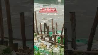 Atari River