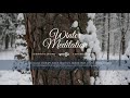 Winter Meditation music and video (2021) - audiovisual journey - SLOW DOWN, RELAX, SLEEP,  MEDITATE