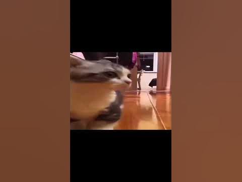 хелоу Надя гуаяба дядя😎 - YouTube