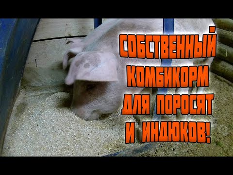 СОБСТВЕННЫЙ КОМБИКОРМ ДЛЯ