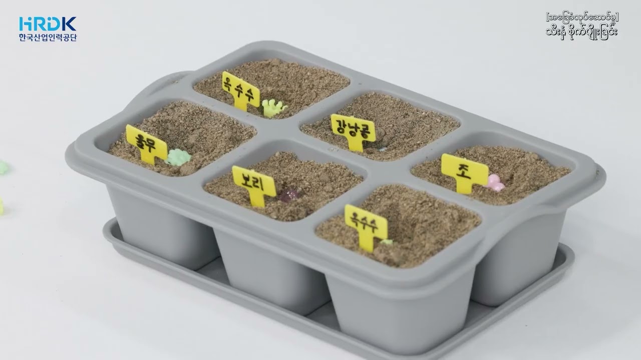 EPS Skill Test (စိုက်ပျိုးရေးနှင့် မွေးမြူရေး)