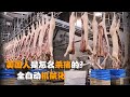 美国人是怎么杀猪的 全自动机械化 怪不得美国猪肉这么便宜 美国人是怎么杀猪的 全自动机械化 怪不得美国猪肉这么便宜